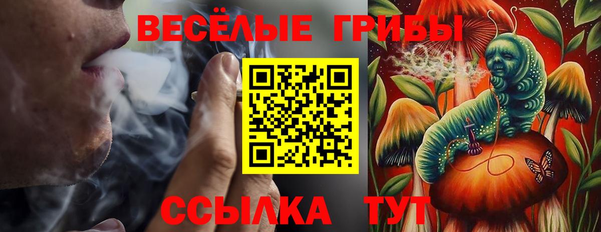 Конаково  Псилоцибиновые грибы мицелий  Вход с VPN 